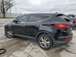 2013 Hyundai Santa Fe Sport  Черный vin: 5XYZWDLA9DG064586