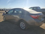 2019 Toyota Corolla L Gray vin: 5YFBURHE4KP930932