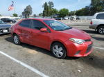 2016 Toyota Corolla L Red vin: 5YFBURHE6GP459843