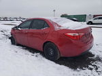 2019 Toyota Corolla L Red vin: 5YFBURHE6KP862844