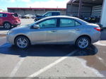 2014 Toyota Corolla L/le/le Plus/le Premium/s/s Plus/s Premium Gray vin: 5YFBURHE9EP175975