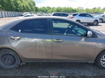 2019 Toyota Corolla Le Gray vin: 5YFBURHEXKP876410