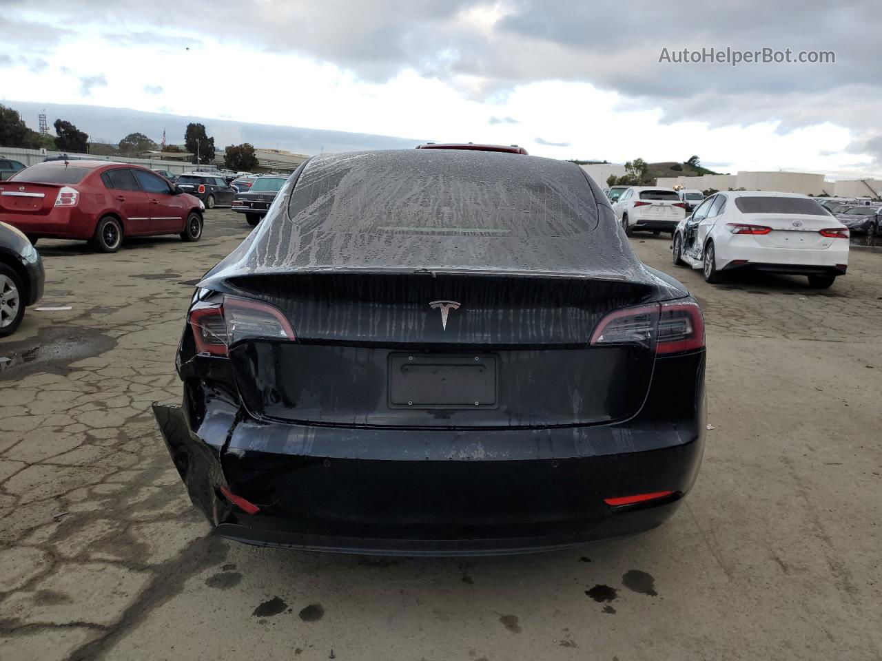 2019 Tesla Model 3  Black vin: 5YJ3E1EA0KF317223
