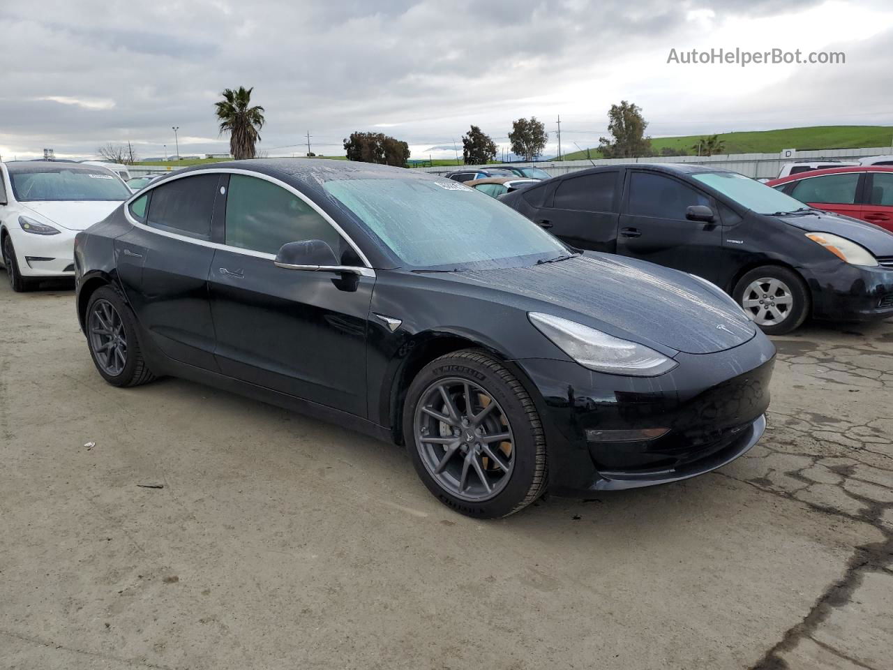 2019 Tesla Model 3  Black vin: 5YJ3E1EA0KF317223