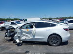 2019 Tesla Model 3 Long Range/mid Range/standard Range/standard Range Plus White vin: 5YJ3E1EA0KF483984