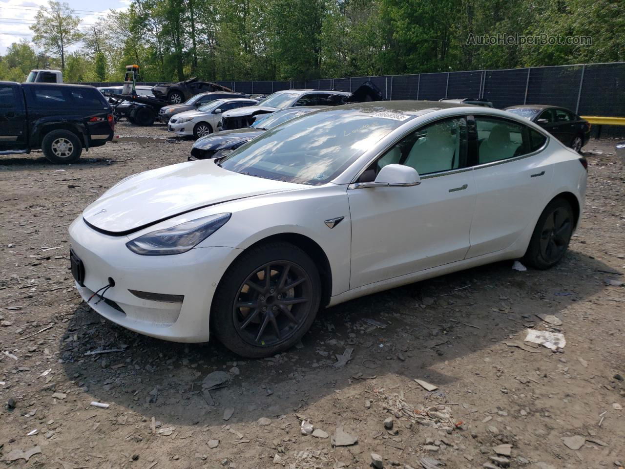 2019 Tesla Model 3  White vin: 5YJ3E1EA0KF486545