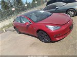 2019 Tesla Model 3 Range Бордовый vin: 5YJ3E1EA0KF536974