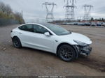 2020 Tesla Model 3 Standard Range Plus Rear-wheel Drive/standard Range Rear-wheel Drive White vin: 5YJ3E1EA0LF504236