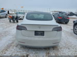 2021 Tesla Model 3 Standard Range Plus Rear-wheel Drive White vin: 5YJ3E1EA0MF052872