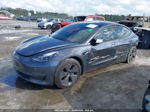 2021 Tesla Model 3 Standard Range Plus Rear-wheel Drive Gray vin: 5YJ3E1EA0MF099691