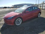 2021 Tesla Model 3  Red vin: 5YJ3E1EA0MF874622