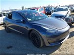 2021 Tesla Model 3 Standard Range Plus Rear-wheel Drive Серый vin: 5YJ3E1EA0MF961680