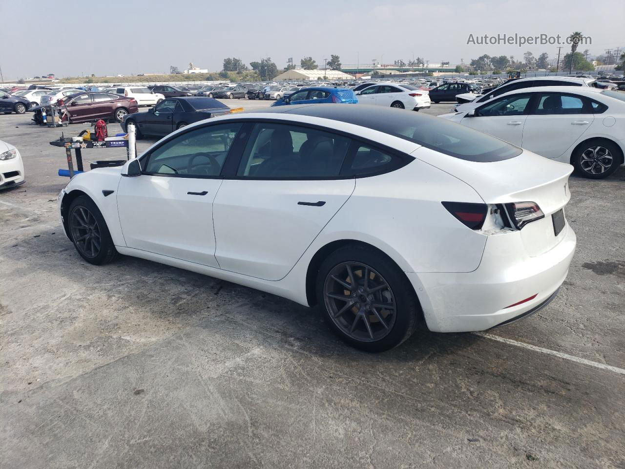 2022 Tesla Model 3  White vin: 5YJ3E1EA0NF117169