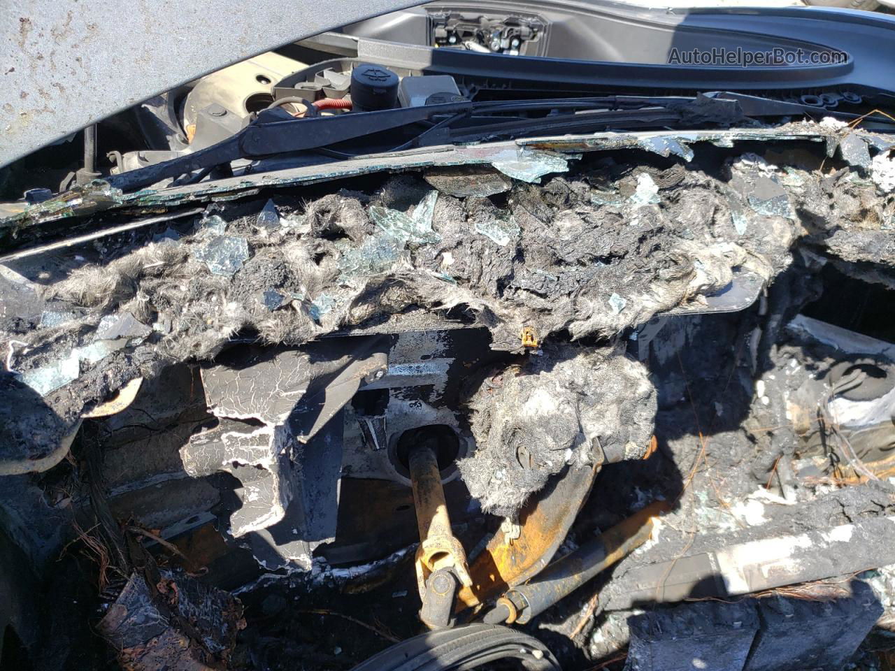 2019 Tesla Model 3  Burn vin: 5YJ3E1EA1KF301855