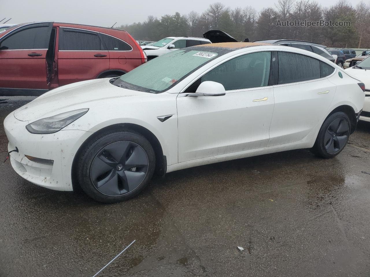 2019 Tesla Model 3  White vin: 5YJ3E1EA1KF310023