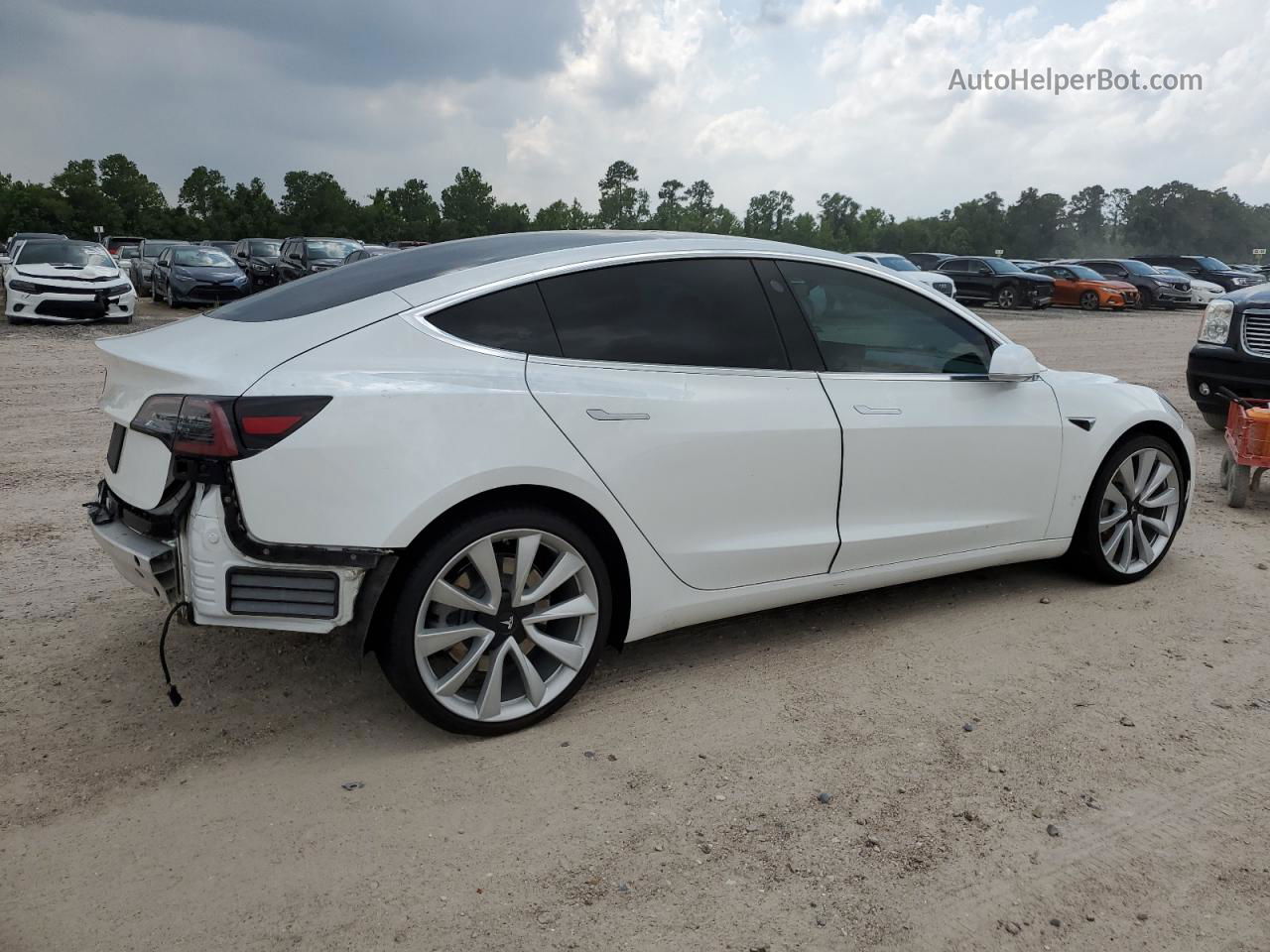 2019 Tesla Model 3  White vin: 5YJ3E1EA1KF425107