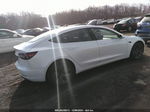 2019 Tesla Model 3 Standard Range/standard Range Plus/long Range/mid Range Белый vin: 5YJ3E1EA1KF426371