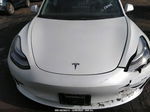 2019 Tesla Model 3 Standard Range/standard Range Plus/long Range/mid Range White vin: 5YJ3E1EA1KF426371