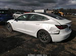 2019 Tesla Model 3 Standard Range/standard Range Plus/long Range/mid Range White vin: 5YJ3E1EA1KF426371