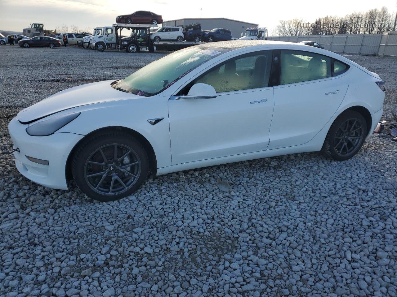 2019 Tesla Model 3  White vin: 5YJ3E1EA1KF483783