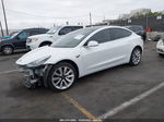 2020 Tesla Model 3 Standard Range Plus Rear-wheel Drive/standard Range Rear-wheel Drive White vin: 5YJ3E1EA1LF709175