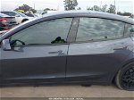 2021 Tesla Model 3 Standard Range Plus Rear-wheel Drive Gray vin: 5YJ3E1EA1MF052167