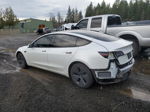 2021 Tesla Model 3  White vin: 5YJ3E1EA1MF053092