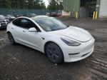 2021 Tesla Model 3  Белый vin: 5YJ3E1EA1MF053092