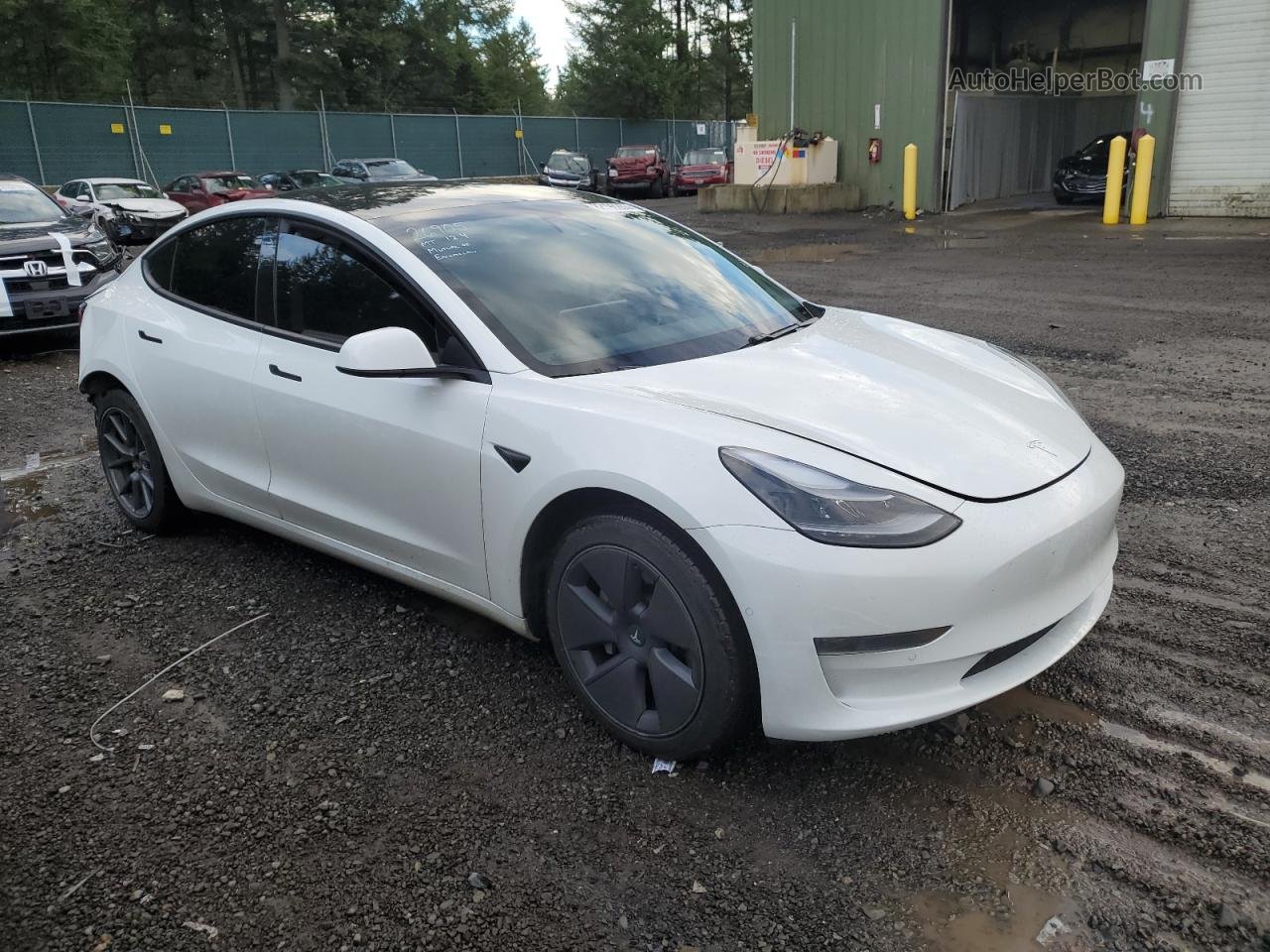 2021 Tesla Model 3  White vin: 5YJ3E1EA1MF053092