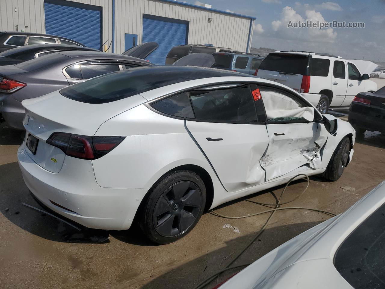 2021 Tesla Model 3  White vin: 5YJ3E1EA1MF060611