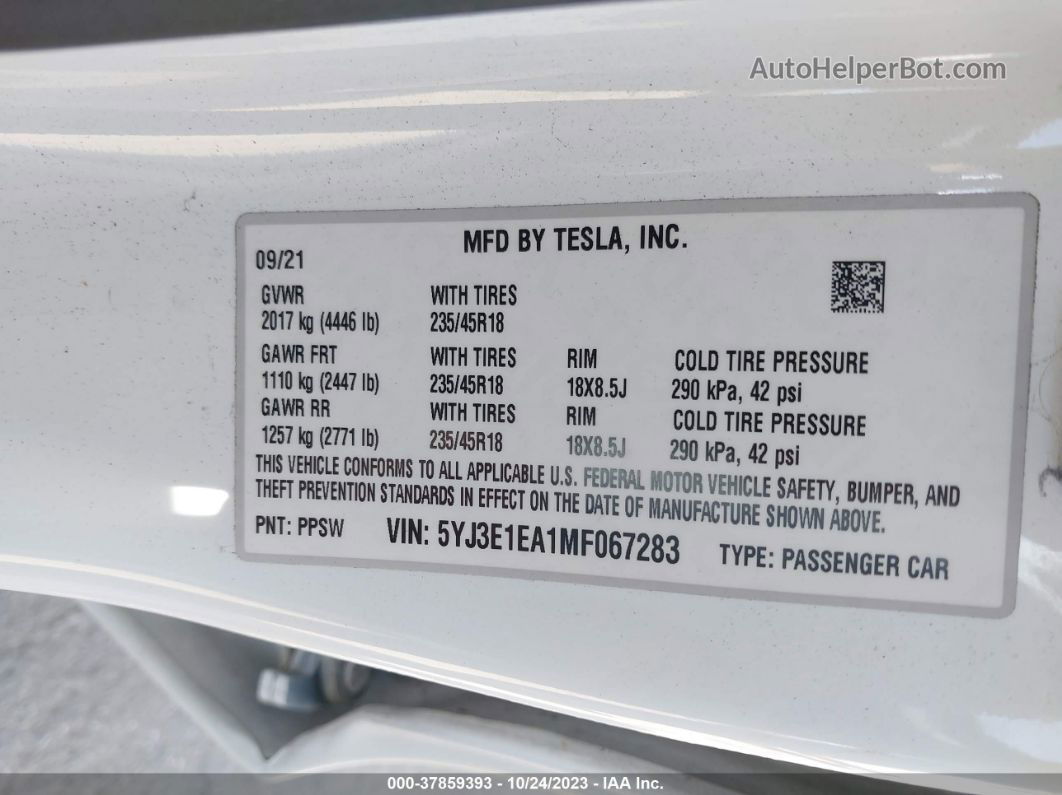 2021 Tesla Model 3 Standard Range Plus White vin: 5YJ3E1EA1MF067283
