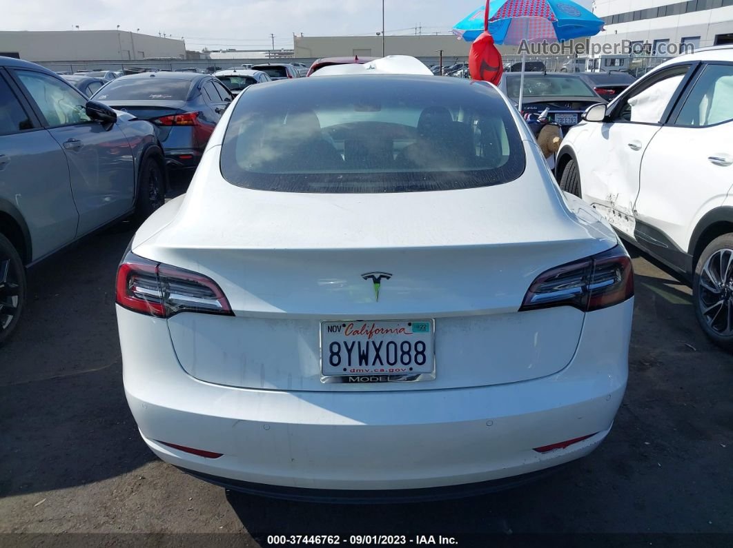 2021 Tesla Model 3 Standard Range Plus White vin: 5YJ3E1EA1MF093608