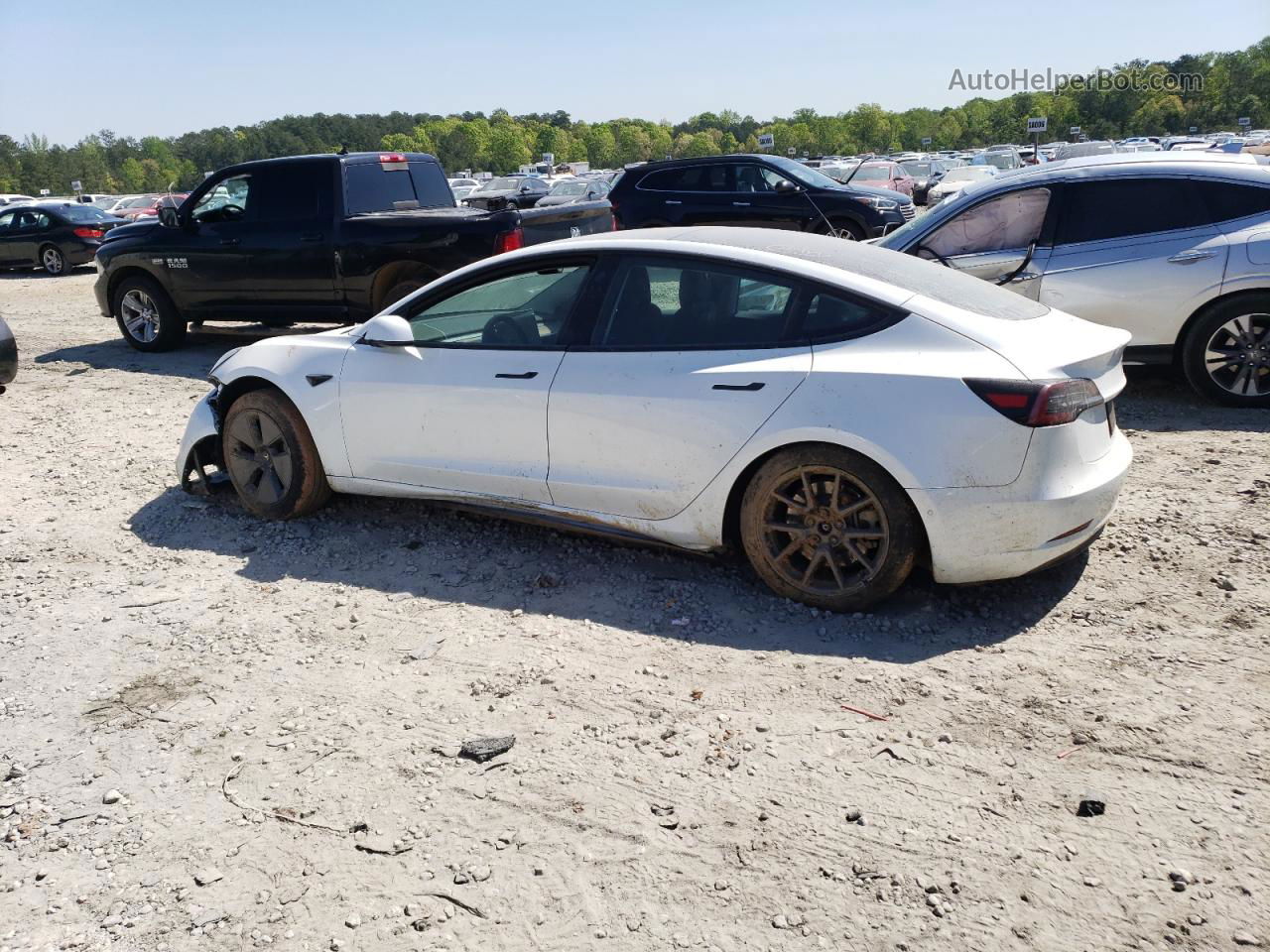 2021 Tesla Model 3  White vin: 5YJ3E1EA1MF874435