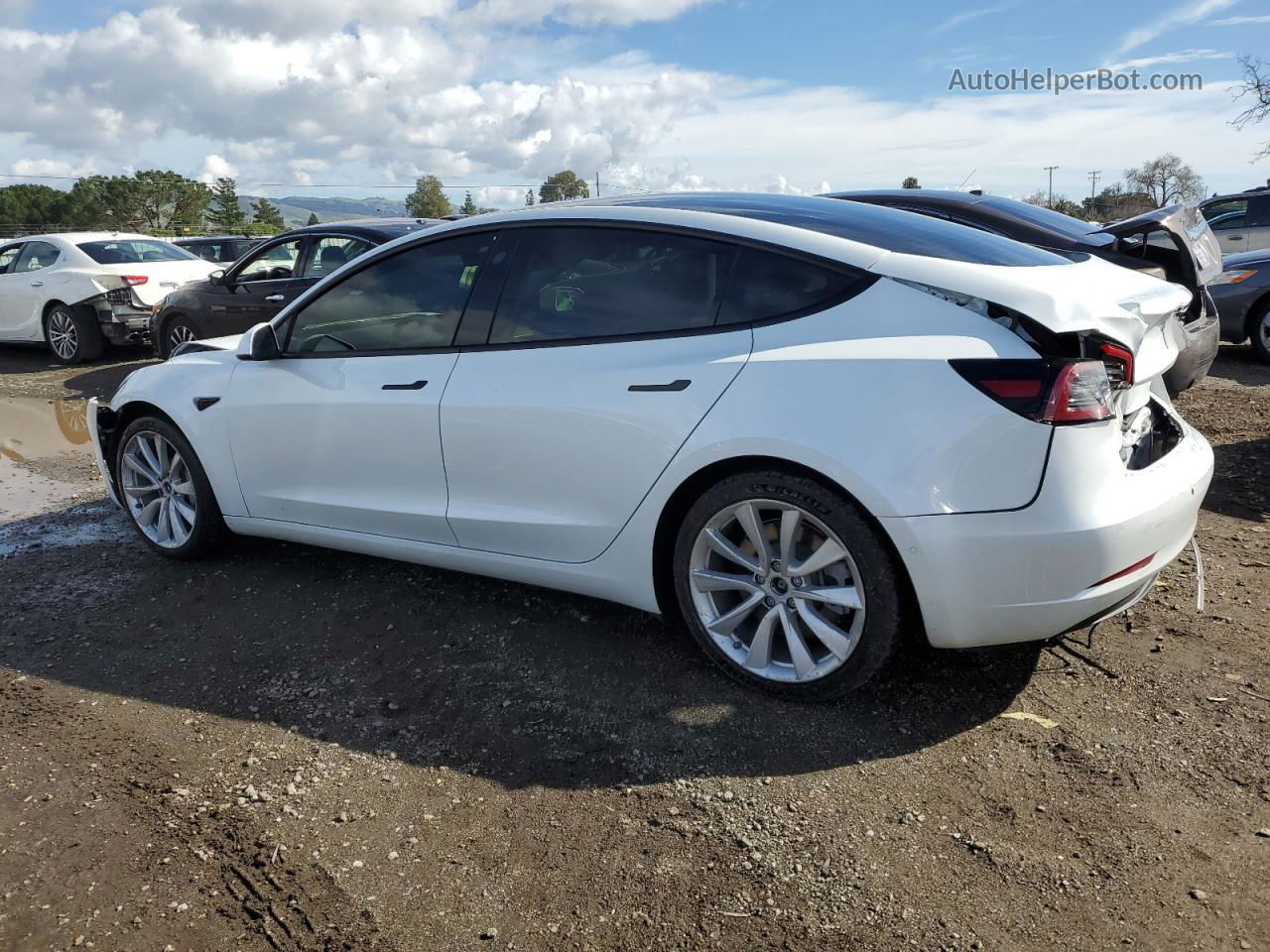 2022 Tesla Model 3  White vin: 5YJ3E1EA1NF202859