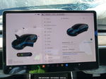 2019 Tesla Model 3 Black vin: 5YJ3E1EA2KF426721