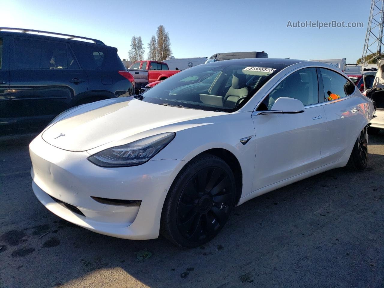 2019 Tesla Model 3  White vin: 5YJ3E1EA2KF472601