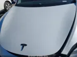 2020 Tesla Model 3 Standard Range Plus Rear-wheel Drive/standard Range Rear-wheel Drive Turquoise vin: 5YJ3E1EA2LF504268