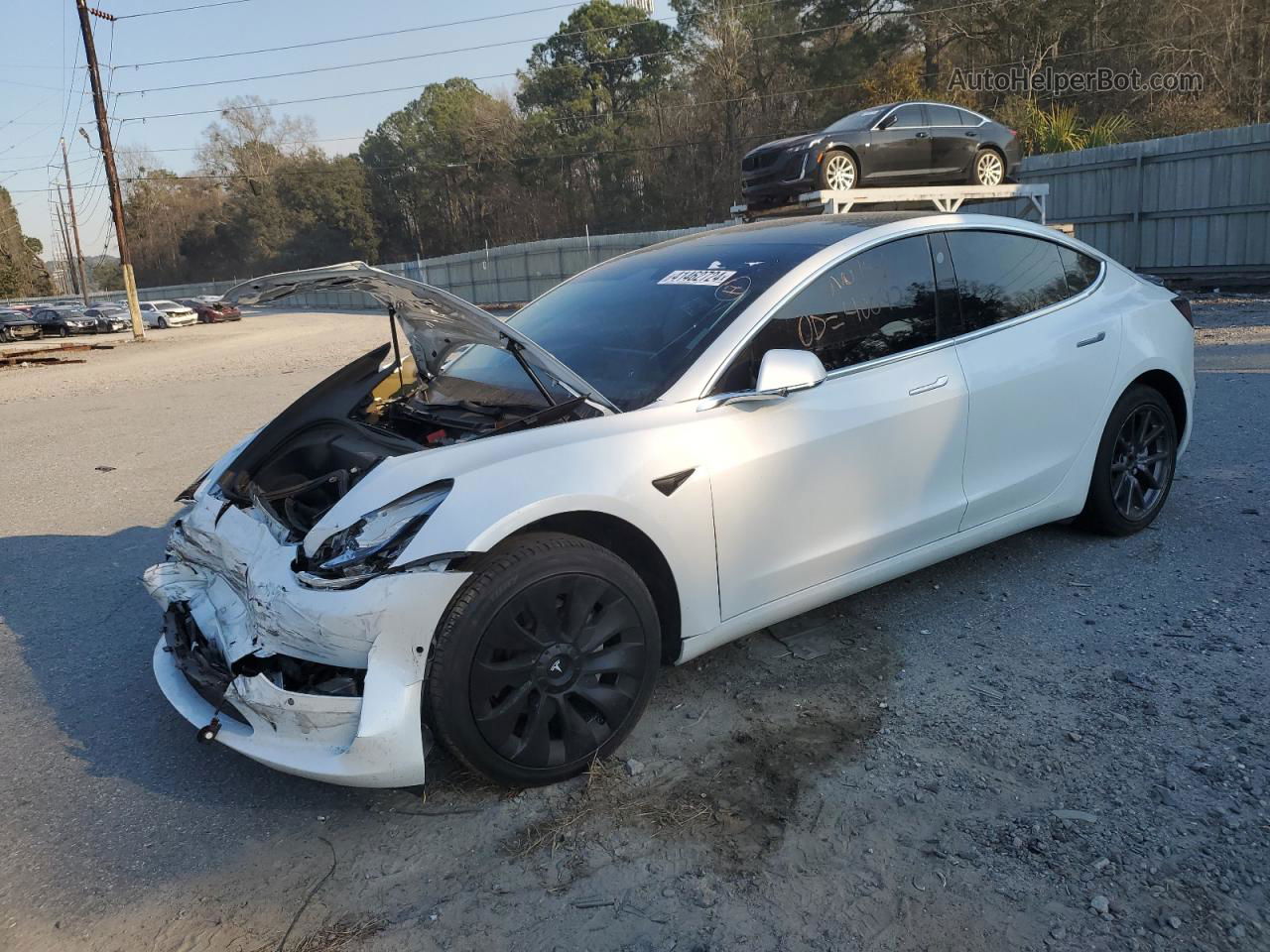 2020 Tesla Model 3  White vin: 5YJ3E1EA2LF613166