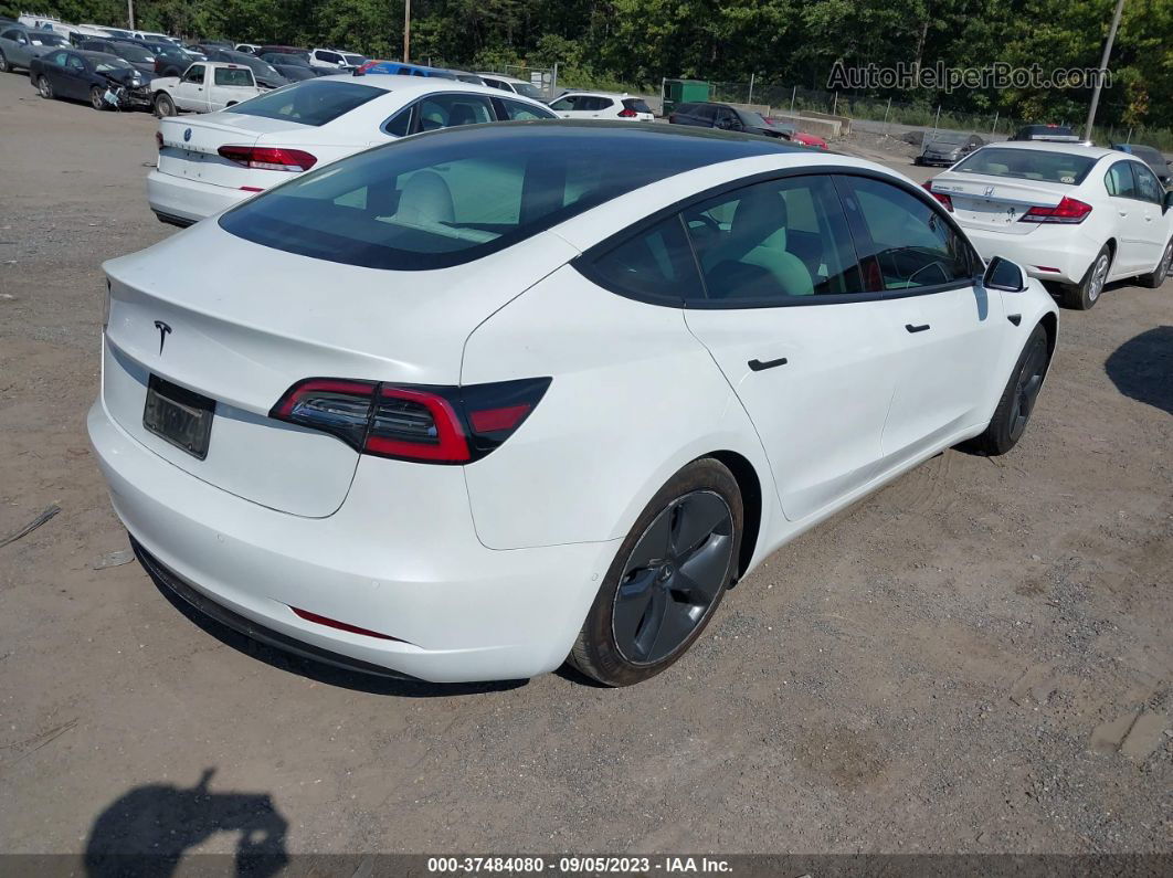 2020 Tesla Model 3 Standard Range Plus Rear-wheel Drive/standard Range Rear-wheel Drive White vin: 5YJ3E1EA2LF741035