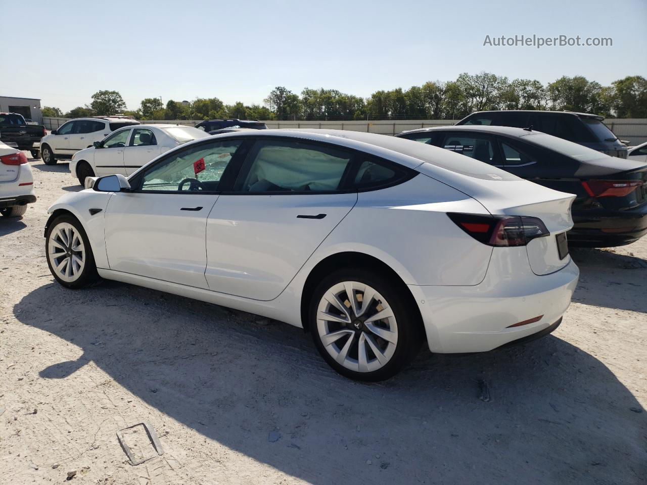 2021 Tesla Model 3  Белый vin: 5YJ3E1EA2MF085887