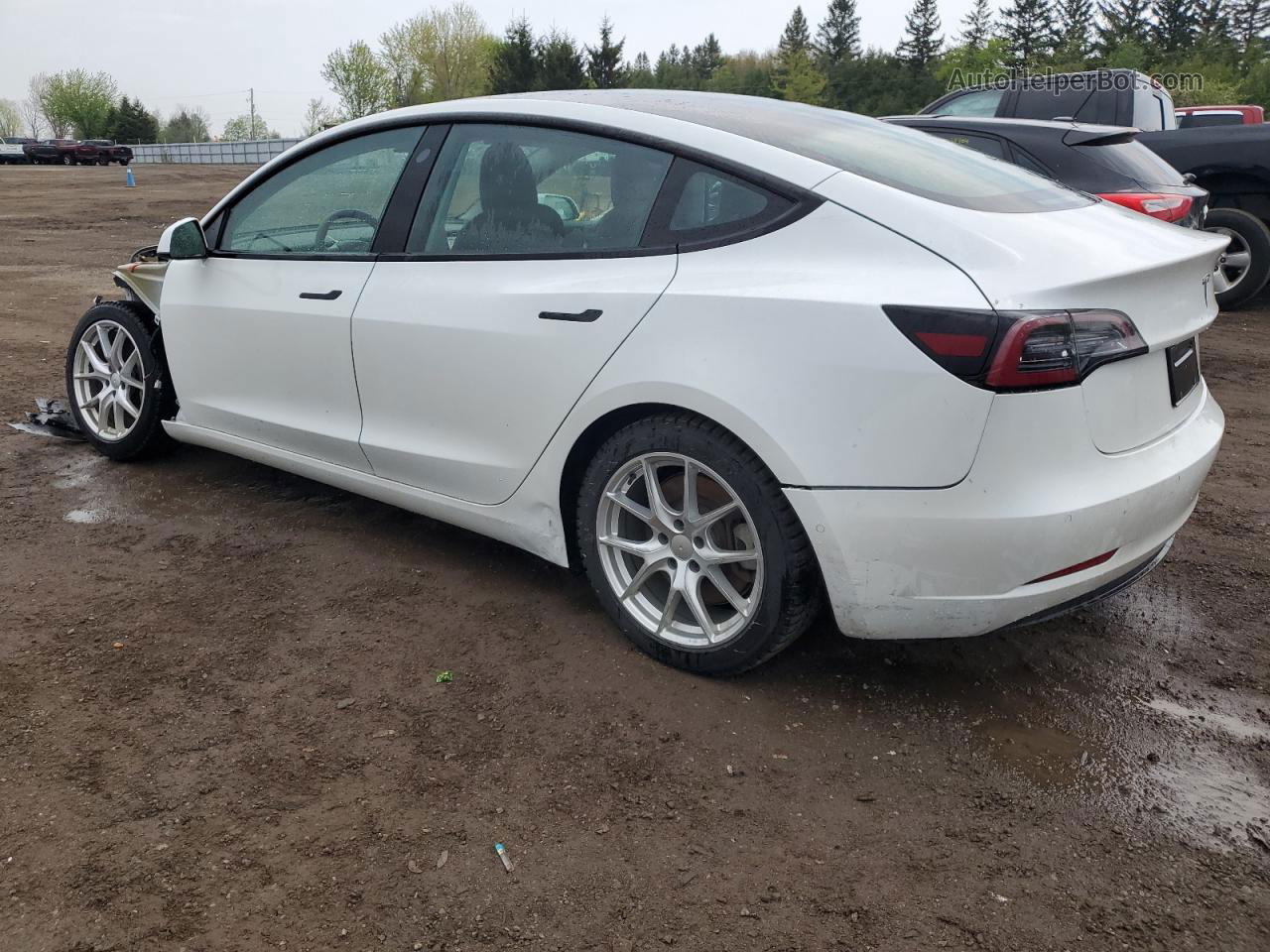 2021 Tesla Model 3  White vin: 5YJ3E1EA2MF852508