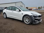 2021 Tesla Model 3  White vin: 5YJ3E1EA2MF852508