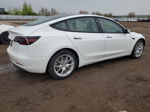 2021 Tesla Model 3  White vin: 5YJ3E1EA2MF852508