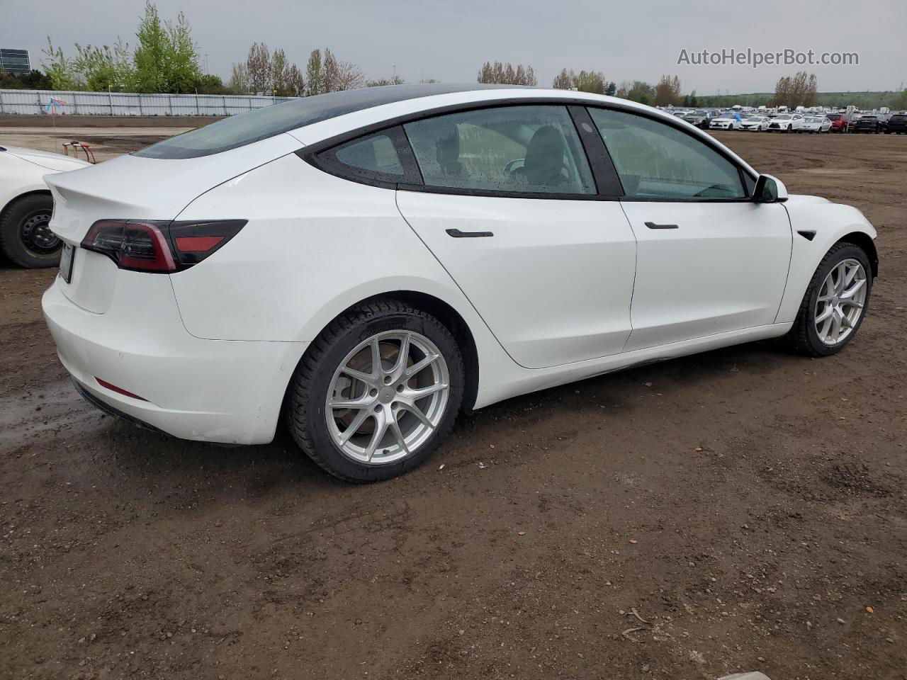 2021 Tesla Model 3  Белый vin: 5YJ3E1EA2MF852508