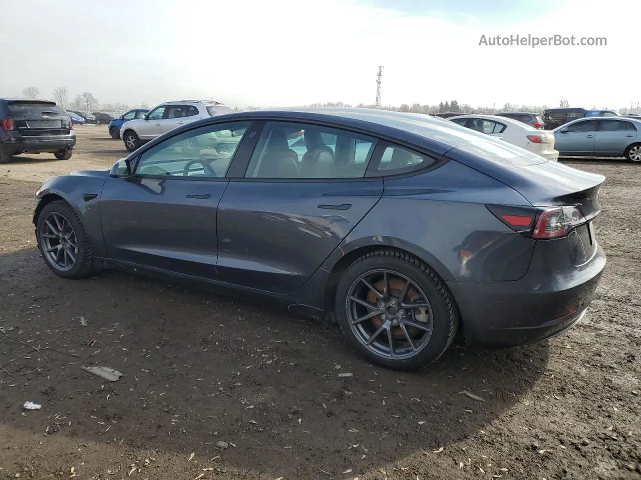 2021 Tesla Model 3  Серый vin: 5YJ3E1EA2MF973930