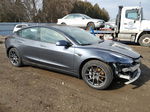 2021 Tesla Model 3  Gray vin: 5YJ3E1EA2MF973930