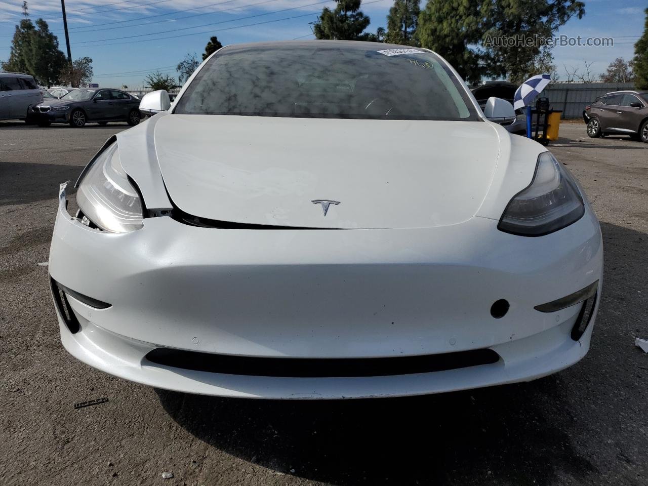 2019 Tesla Model 3  White vin: 5YJ3E1EA3KF300030