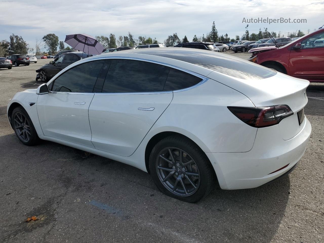 2019 Tesla Model 3  Белый vin: 5YJ3E1EA3KF300030