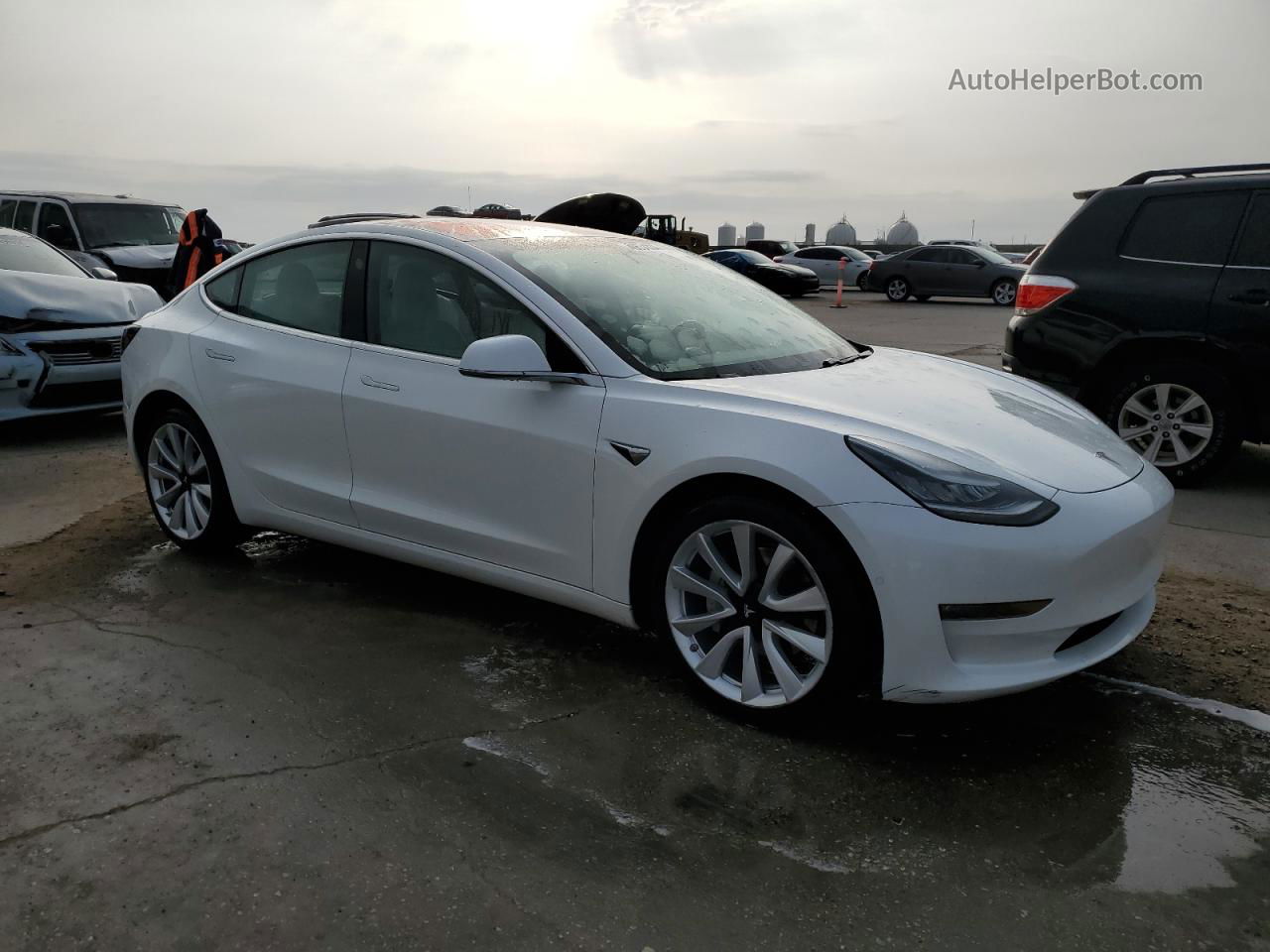 2019 Tesla Model 3  White vin: 5YJ3E1EA3KF302621