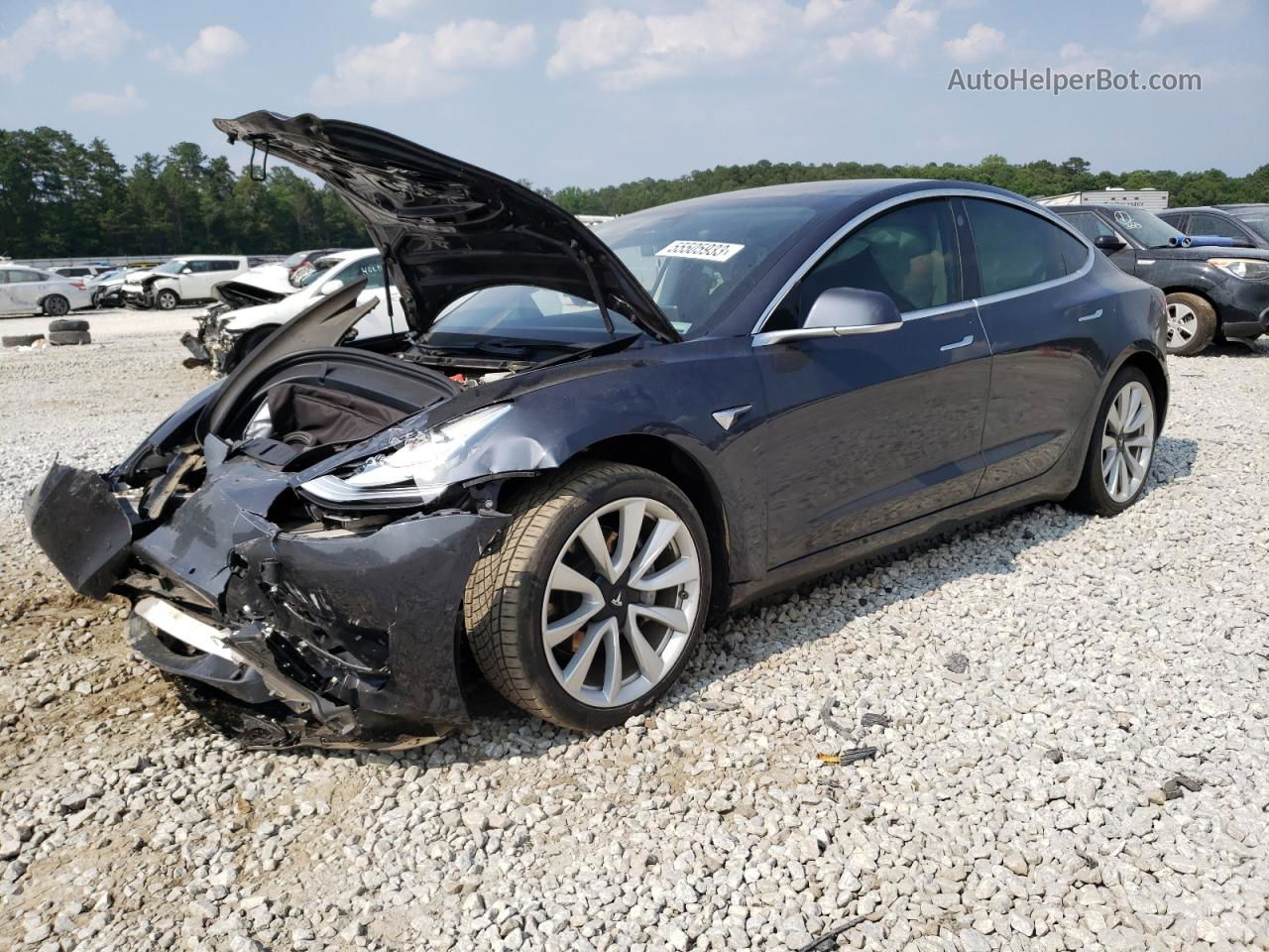 2019 Tesla Model 3  Purple vin: 5YJ3E1EA3KF311240